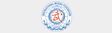 国际武术联合会